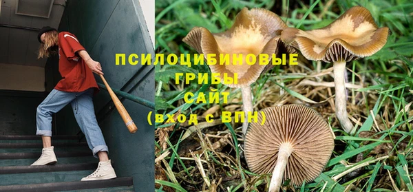 мдпв Нязепетровск