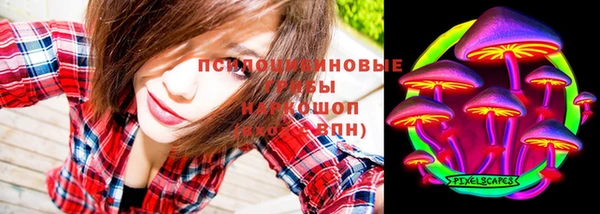 прущий лед Няндома