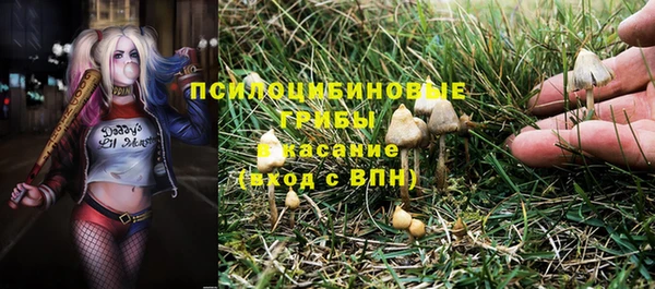 прущий лед Няндома