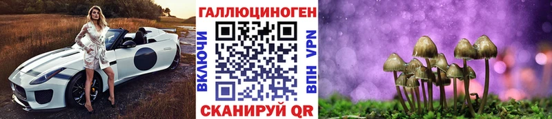 shop состав  блэк спрут ТОР  Чекалин  Галлюциногенные грибы Psilocybine cubensis 